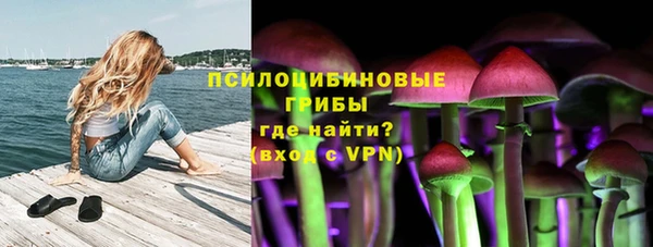 твердый Козловка