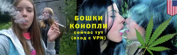 трава Кодинск