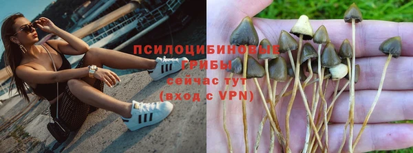 трава Кодинск